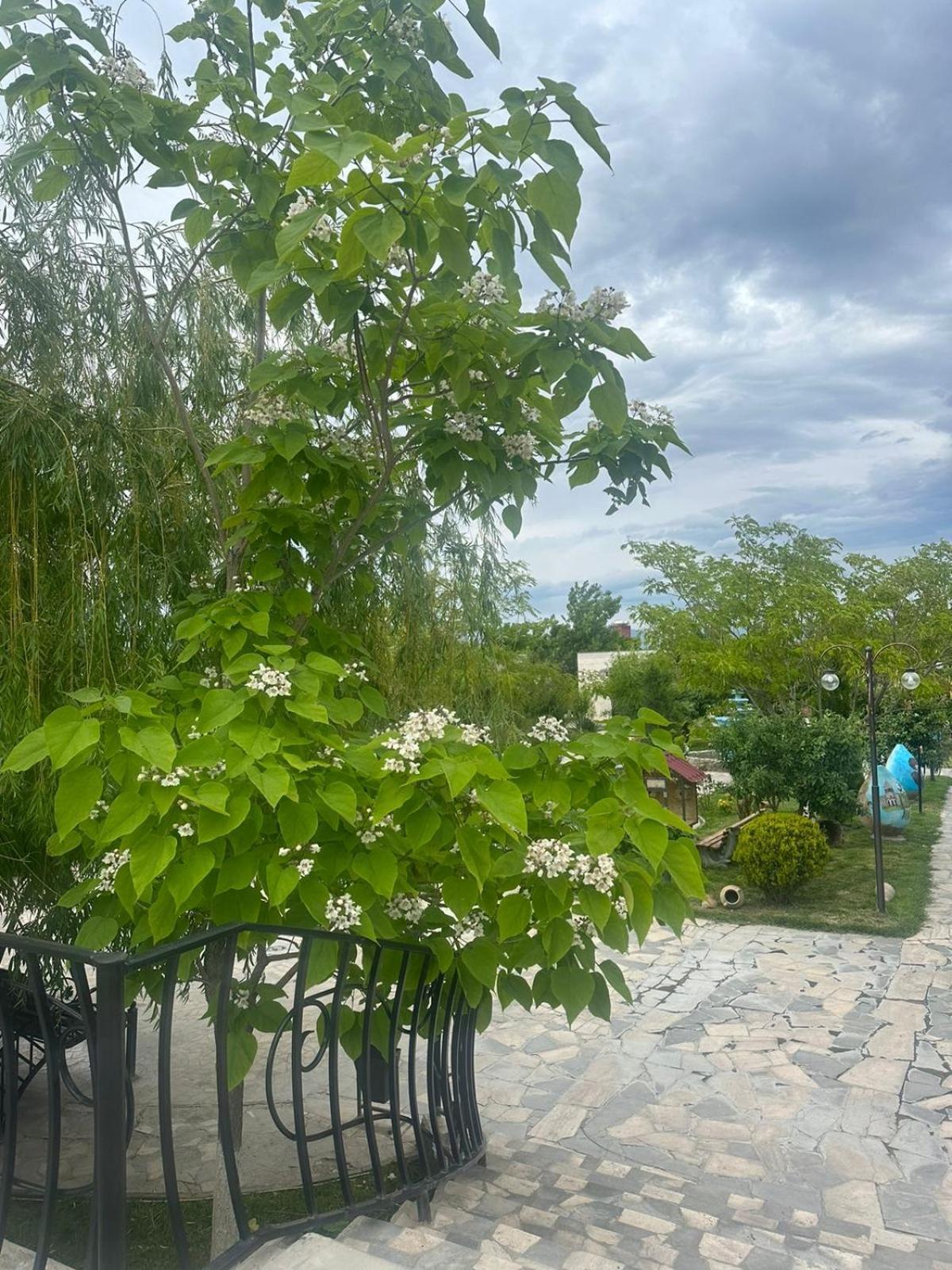 Ralina Restaurant And Hotel Davalinskiy Tsemzavod Εξωτερικό φωτογραφία