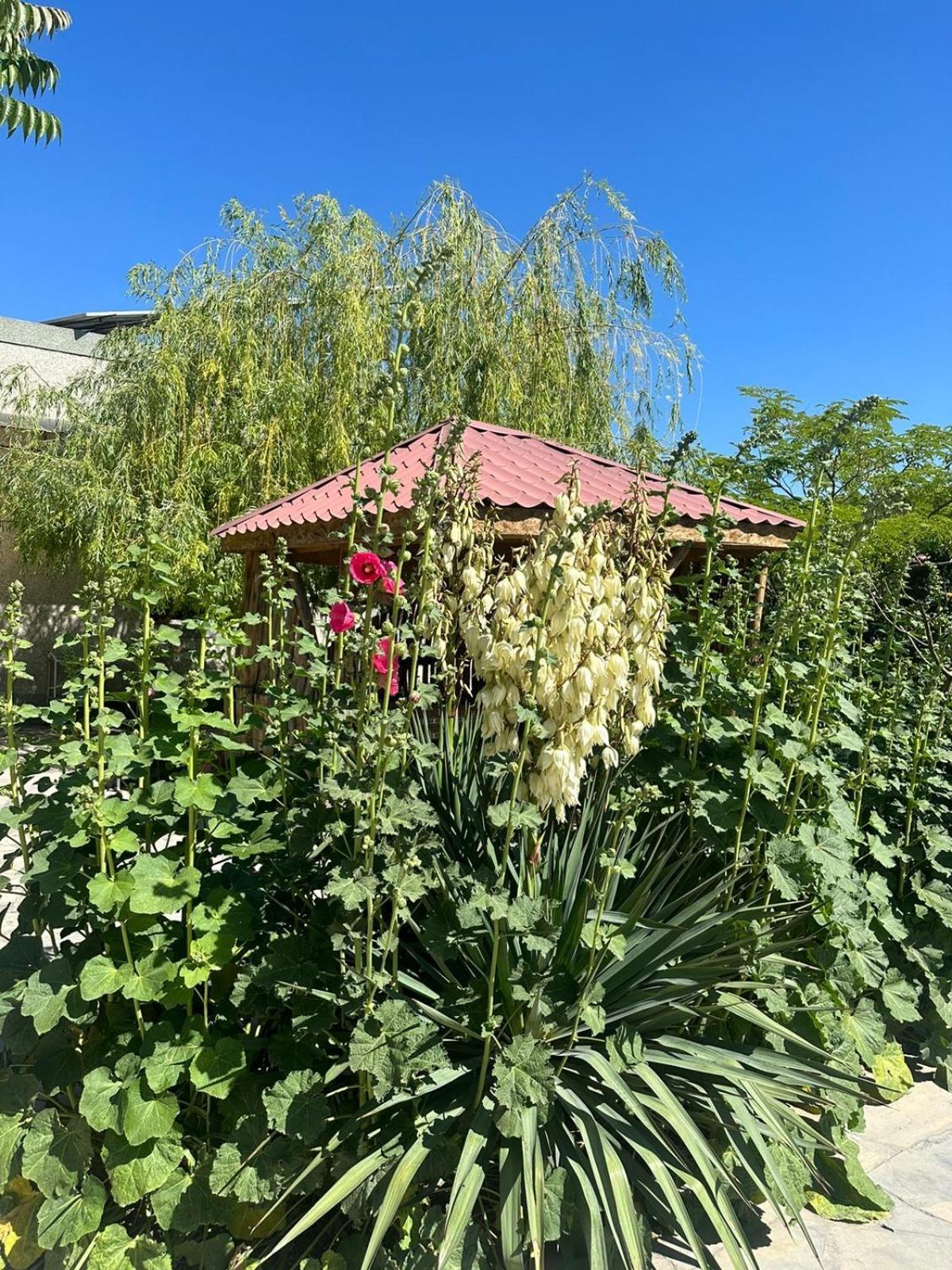 Ralina Restaurant And Hotel Davalinskiy Tsemzavod Εξωτερικό φωτογραφία